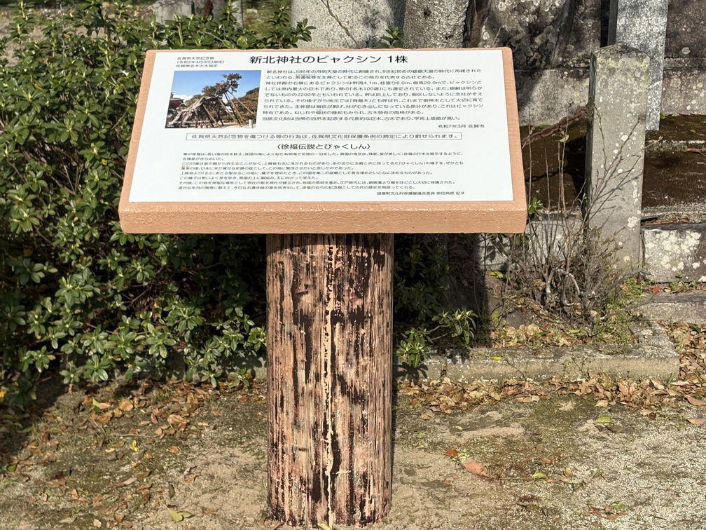 新北神社　ビャクシン説明看板 修繕